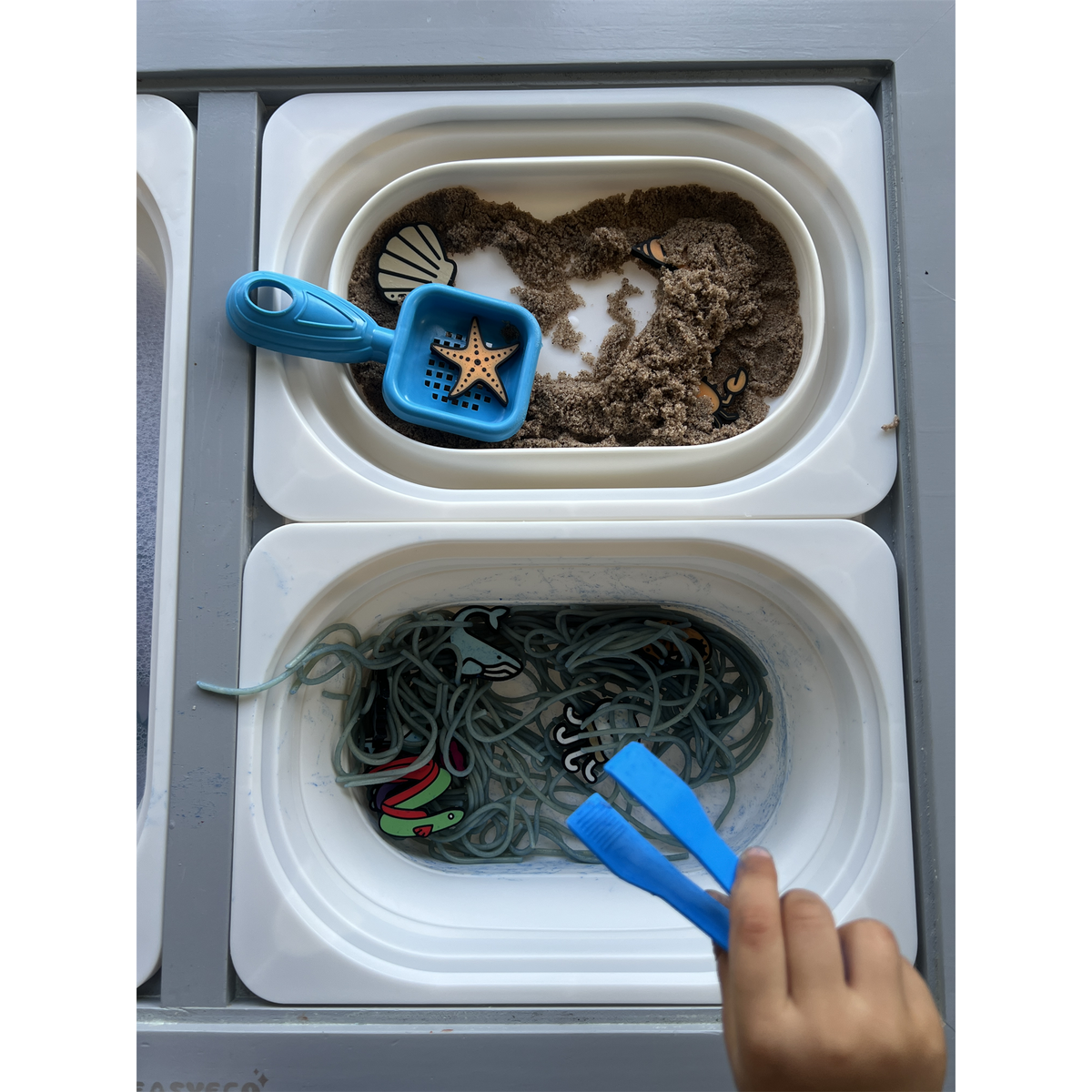 Ocean Discovery 3D Puzzle pieces in a two-tray sensory setup; trays, tools, sand and other filler not included