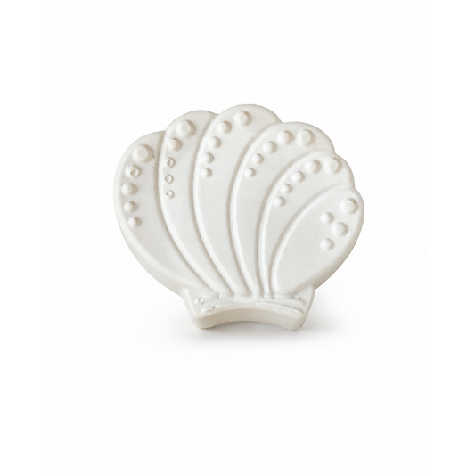 seashell in unpainted plaster on a white background