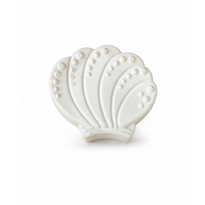 seashell in unpainted plaster on a white background