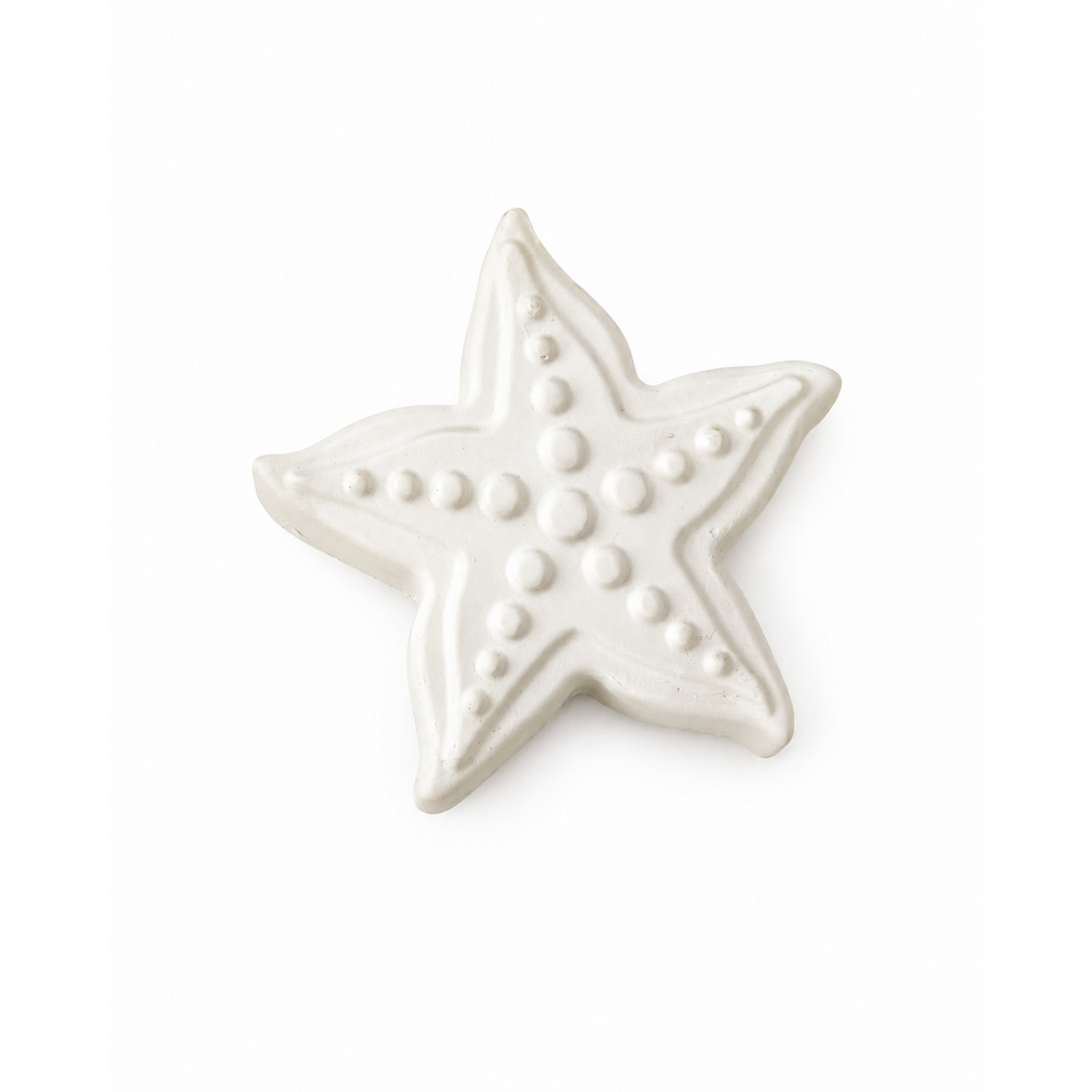 starfish in unpainted plaster on a white background
