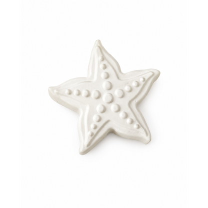 starfish in unpainted plaster on a white background