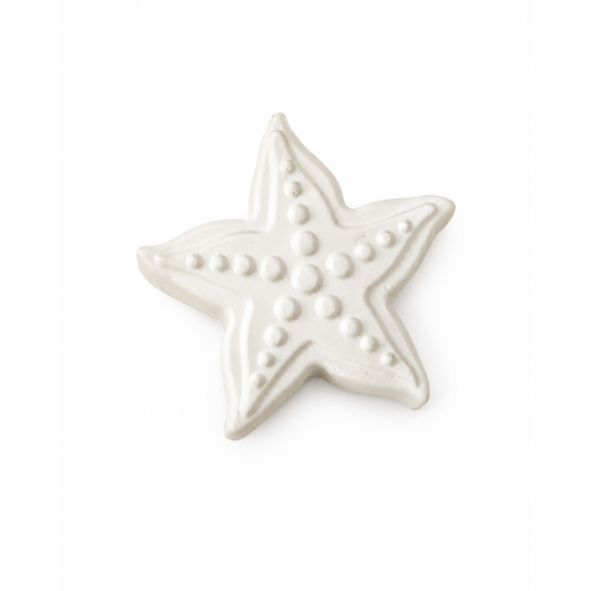 starfish in unpainted plaster on a white background