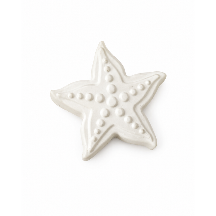 starfish in unpainted plaster on a white background